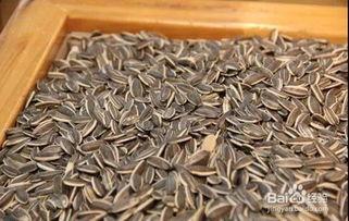 网红炒瓜子,火爆网络的小零食，揭秘其魅力所在