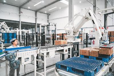 明星宠物生产车间图片,萌宠制造背后的秘密