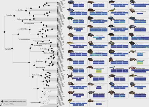今日头条哑巴手绘图,无声世界里的色彩与情感
