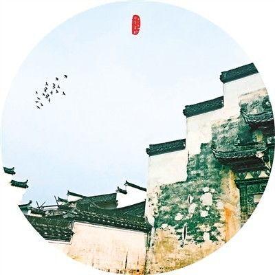 微头条乡村故事,微头条里的乡村故事新篇章