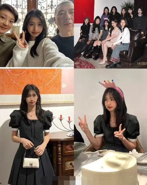 扒叔大爆料冯小刚视频全集,冯小刚视频全集幕后真相大曝光