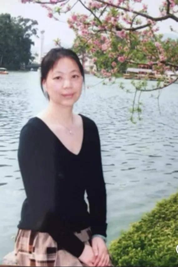 陶陶明星,闪耀舞台的璀璨新星