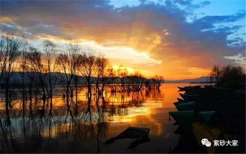 龙泉看日出日料店电话多少,探寻龙泉看日出日料店电话