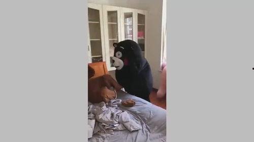 网红蒲团视频,揭秘短视频背后的魅力与影响力