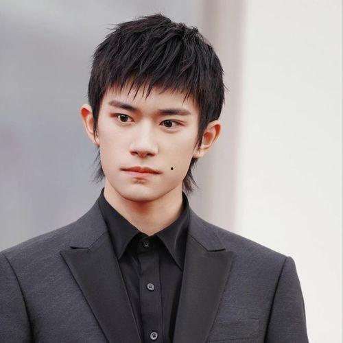 199男明星,魅力与才华并存的璀璨星河