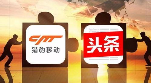 今天大田头条新闻,聚焦今日热点事件，揭秘幕后真相