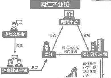 网红传播的过程,从内容创作到粉丝互动的演变之路