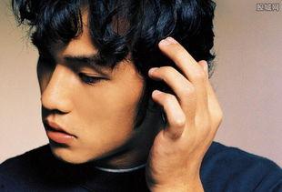 明星收入最高,揭秘收入最高的明星是谁？