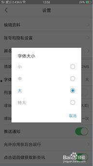 头条字体可以调大吗小说,字体放大，小说世界尽收眼底