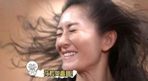 明星罚打,揭秘娱乐圈背后的真相与反思