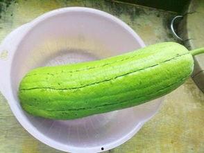 水瓜心可以吃么,可食用之谜，揭秘其营养价值与食用方法