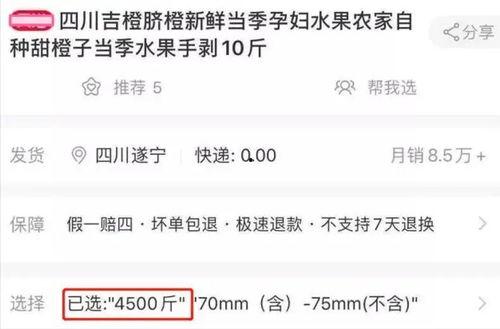 带货网红套路大全集,套路大全集深度解析