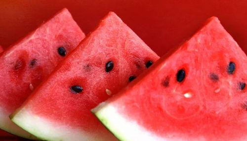 成都彩虹吃瓜事件,一场网络热议的美食与争议交织的故事