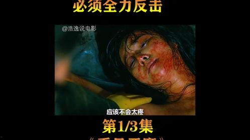 胆小别看 在线观看