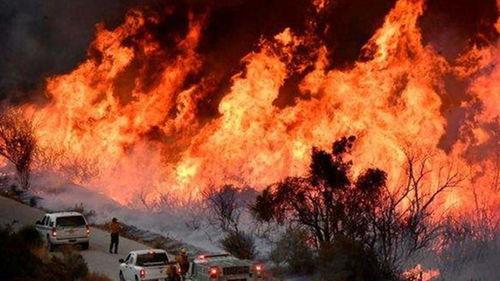 今日头条加州山火,肆虐蔓延，紧急救援行动全面展开