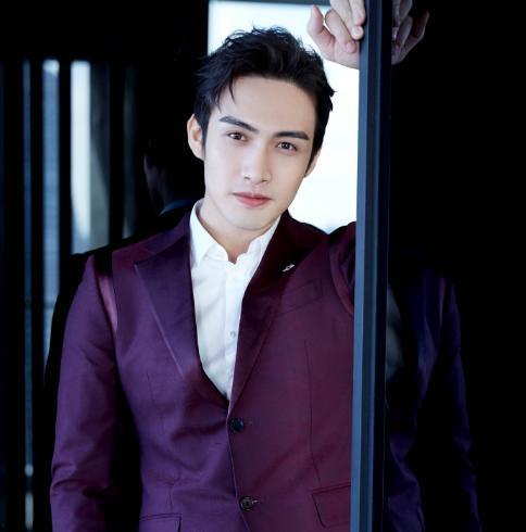 彬彬是哪个明星,闪耀舞台的璀璨明星