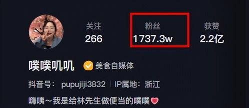 网红噗噗叽叽收入