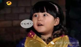 天天啪明星,揭秘娱乐圈的激情瞬间