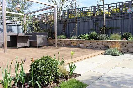 今日头条小花园拍摄,捕捉日常生活中的绿色瞬间