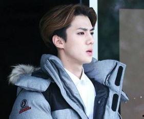 韩国男明星姓朴的,魅力与才华并存的璀璨星河