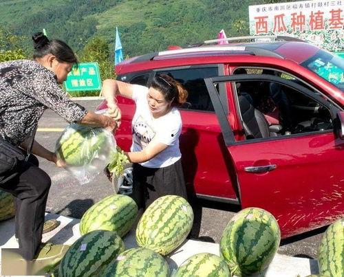 吃瓜群众农村,揭秘乡村生活百态