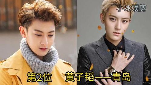 什么什么阳的明星,揭秘“某某阳”明星的璀璨人生