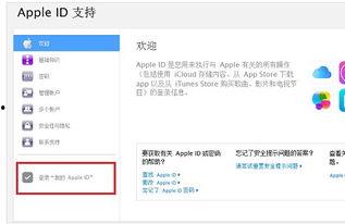 瓜老师的云盘账号密码,解锁云端秘密之旅